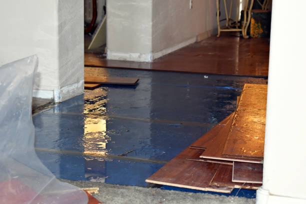 Professional Basement Flood Cleanup technician working in Horton, AL